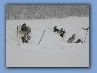 DSCN7572.jpg